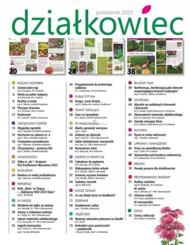 10/2023 DZIAŁKOWIEC DYNIA PRZETWORY TULIPANY WARZYWNIK ŻYWOPŁOT