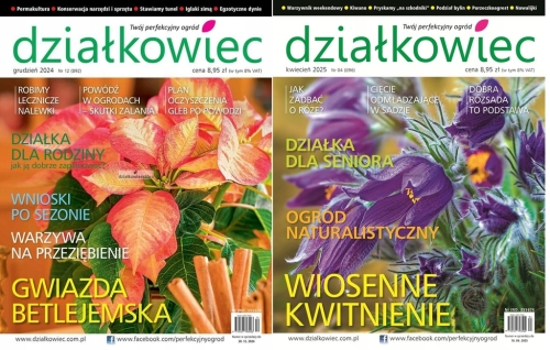 DZIAŁKOWIEC ZESTAW X 2 12/2024 4/2025