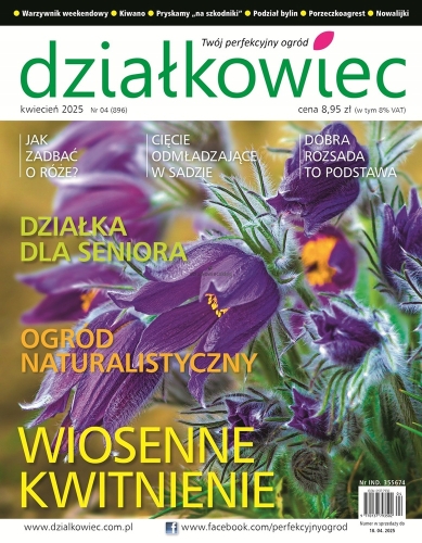 DZIAŁKOWIEC ZESTAW X 2 12/2024 4/2025