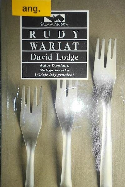 RUDY WARIAT DAVID LODGE / LITERATURA PIĘKNA BRYTYJSKA