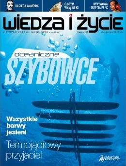 11/2012 WIEDZA I ŻYCIE OCEANICZNE SZYBOWCE