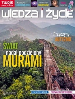 11/2015 WIEDZA I ŻYCIE PRZYCZYNY AUTYZMU