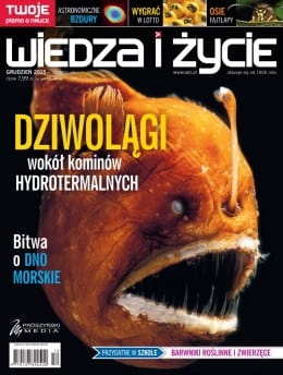 12/2015 WIEDZA I ŻYCIE DZIWOLĄGI WOKÓŁ KOMINÓW
