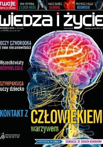 12/2019 WIEDZA I ŻYCIE MÓZG SZYMPANSICA DZIECKO