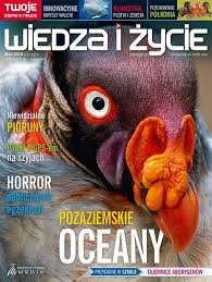 05/2019 WIEDZA I ŻYCIE PIORUNY HORROR