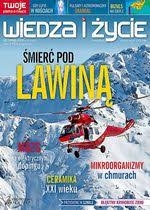 11/2018 WIEDZA I ŻYCIE MÓZG LAWINY