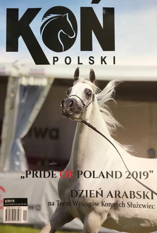 3/2019 KOŃ POLSKI ARABSKI FLORISSIMA AMES JR