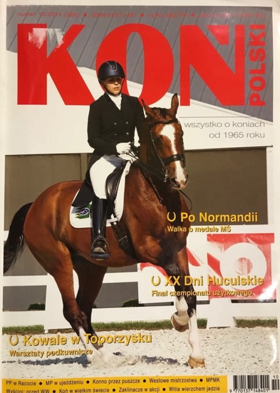 10/2014 KOŃ POLSKI HUBERTUS SPALSKI WEG SKOKI RAJDY