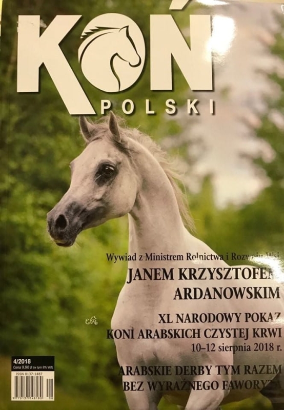 4/2018 KOŃ POLSKI ARDANOWSKI ARABSKI KOŃ