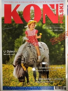 6/2014 KOŃ POLSKI SIODŁO KONIE