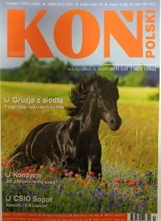7/2013 KOŃ POLSKI SIODŁA REKORDY