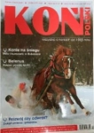 2/2013 KOŃ POLSKI POLO KONIE KOBYLA