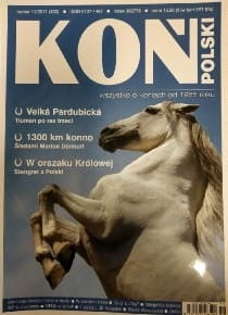 11/2011 KOŃ POLSKI KOBYLA KONIK