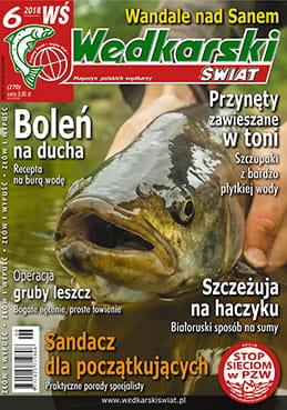 6/2018 WĘDKARSKI ŚWIAT BOLEŃ SZCZUPAKI SANDACZ