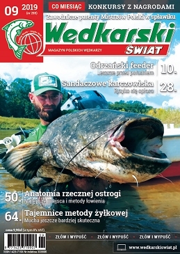 9/2019 WĘDKARSKI ŚWIAT LESZCZE SANDACZE