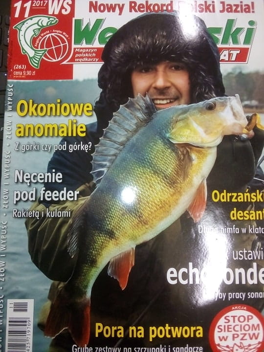 11/2017 WĘDKARSKI ŚWIAT OKONIE SZCZUPAKI I SANDACZE
