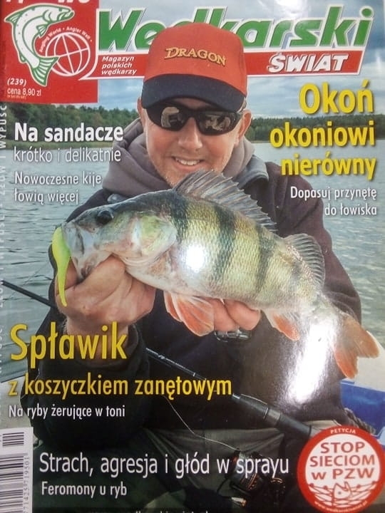 11/2015 WĘDKARSKI ŚWIAT OKOŃ SANDACZE SPŁAWIK