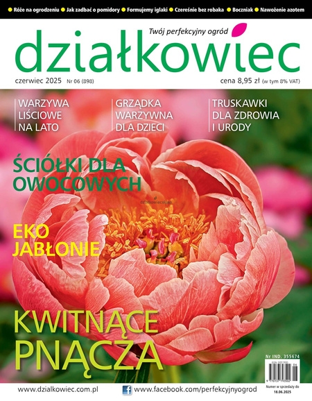 6/2025 DZIAŁKOWIEC OGRÓD