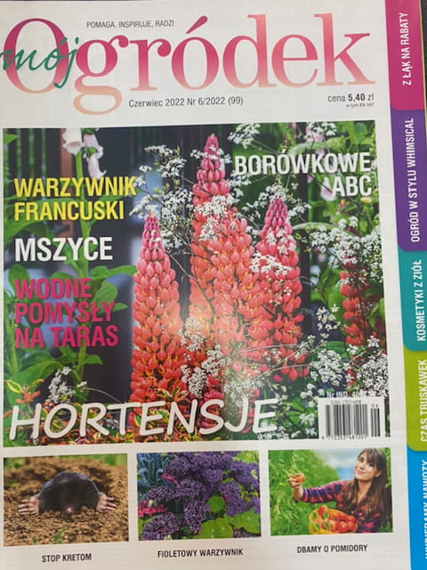 6/2022 MÓJ OGRÓDEK HORTENSJE KWIATY WARZYWNIK