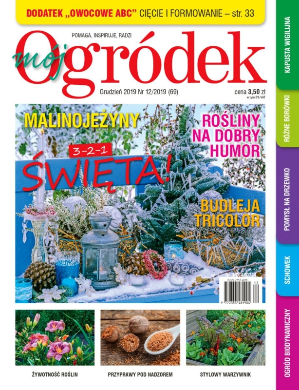 12/2019 MÓJ OGRÓDEK ŻYWNOŚĆ ROŚLIN MALINA JEŻYNA