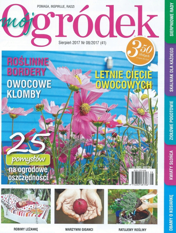 8/2017 MÓJ OGRÓDEK ROŚLINNE BORDERY KLOMBY