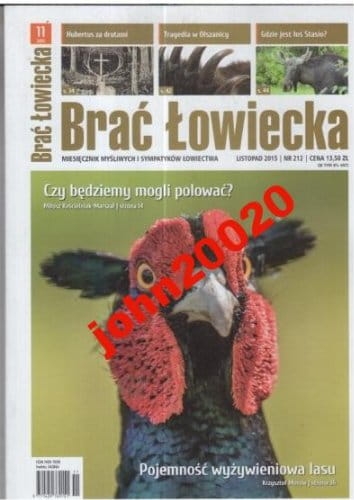 11/2015 BRAĆ ŁOWIECKA.GDZIE JEST ŁOŚ STASIO