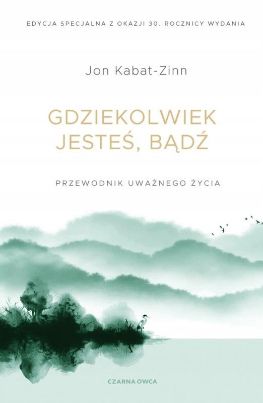 GDZIEKOLWIEK JESTEŚ BĄDŹ JAN KABAT ZIN UWAŻNOŚĆ