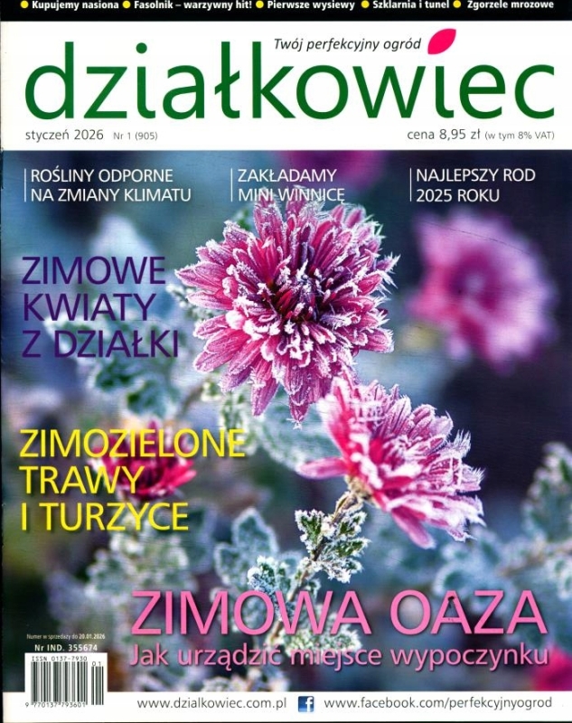 1/2026 DZIAŁKOWIEC ZIMOWA OAZA ZIMOWE KWIATY ZIMOZIELONE TRAWY