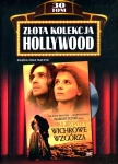 WICHROWE WZGÓRZA ZŁOTA KOLEKCJA HOLLYWOOD DVD TOM 30 BRONTE FIENNES BINOCHE