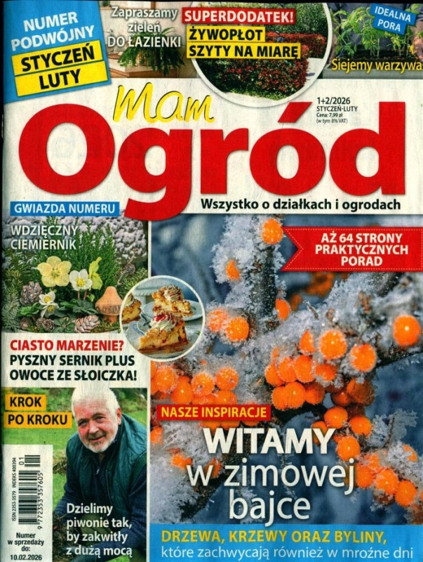 1/2/2026 MAM OGRÓD WDZIĘCZNY CIEMIERNIK ZIMOWA BAJKA INSPIRACJE