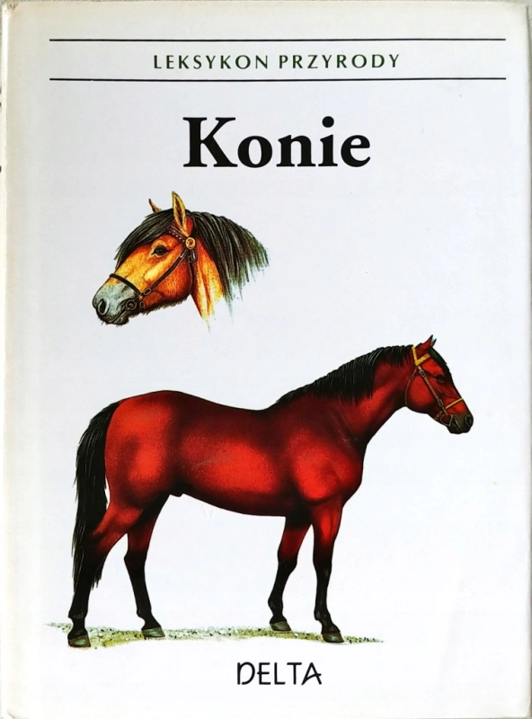 Konie Helena Kholova