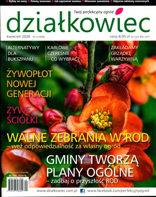 42026 DZIAŁKOWIEC ORÓD
