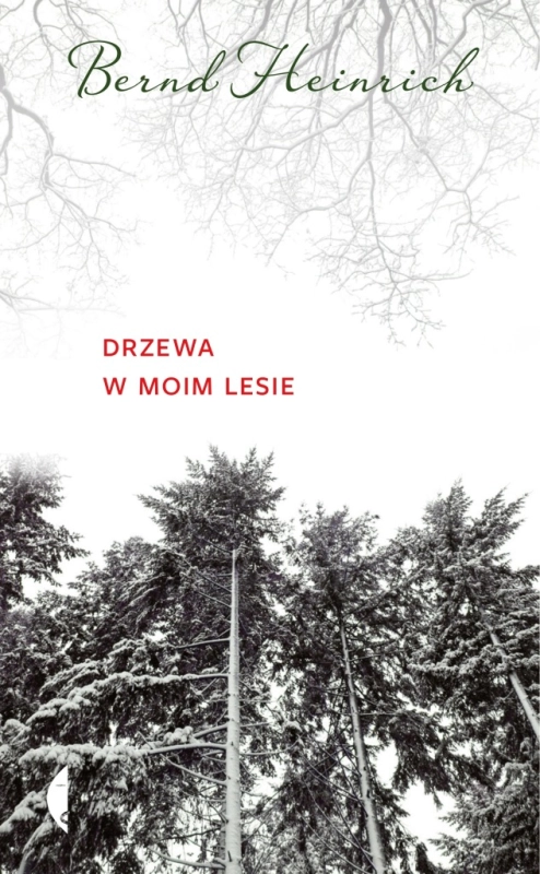 DRZEWA W MOIM LESIE BERND HEINRICH