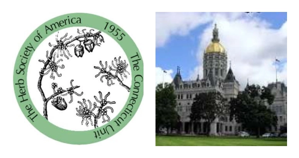 USA CONNECTICUT HARTFORD