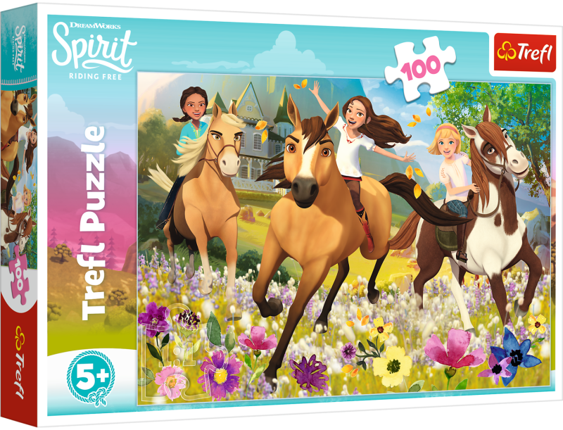 38-puzzle-100-elementow-spir.jpg