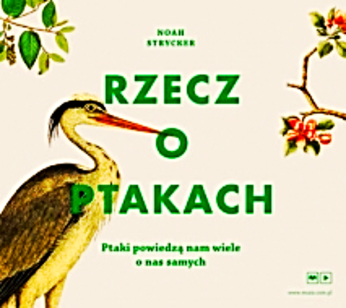 RZECZ O PTAKACH PTAKI NOAH STRYCKER 