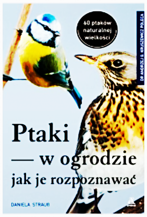 PTAKI W OGRODZIE JAK ROZPOZNAWAĆ DANIELA STRAUB NOWA 