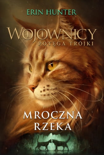 WOJOWNICY POTĘGA TRÓJKI 14 MROCZNA RZEKA  HUNTER