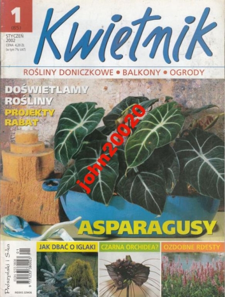 1/2002 KWIETNIK.ASPARAGUSY,CZARNA ORCHIDEA