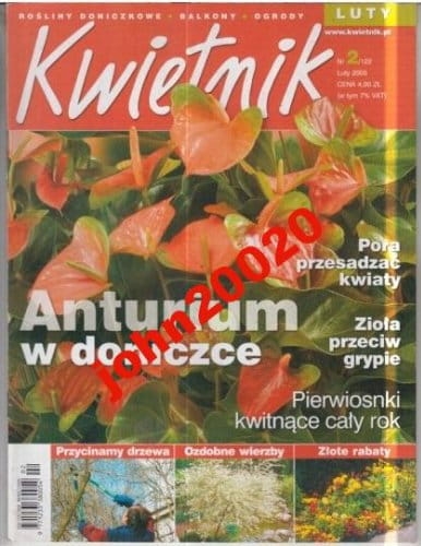 2/2005 KWIETNIK.ANTURIUM
