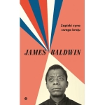 ZAPISKI SYNA TEGO KRAJU JAMES BALDWIN 