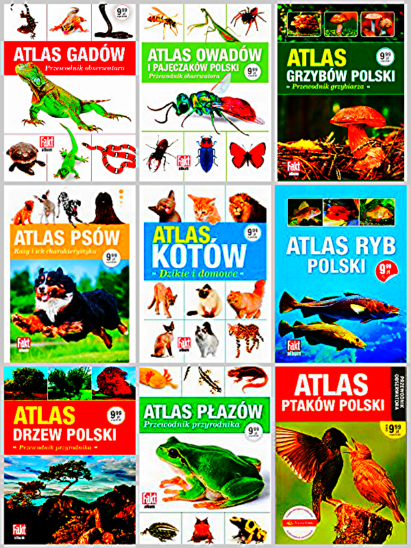 ATLASY.jpg