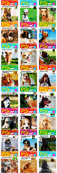 GOTOWA NA WSZYSTKO.DVD