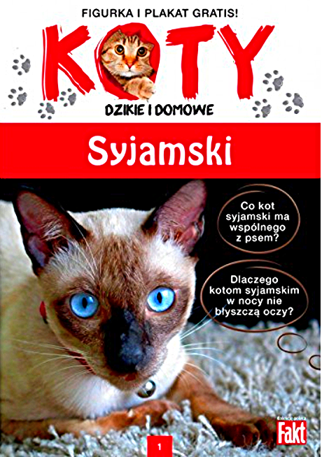 K1.jpg