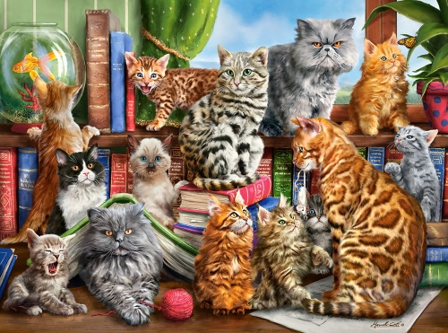 b2-puzzle-2000-elementow-hou.jpg