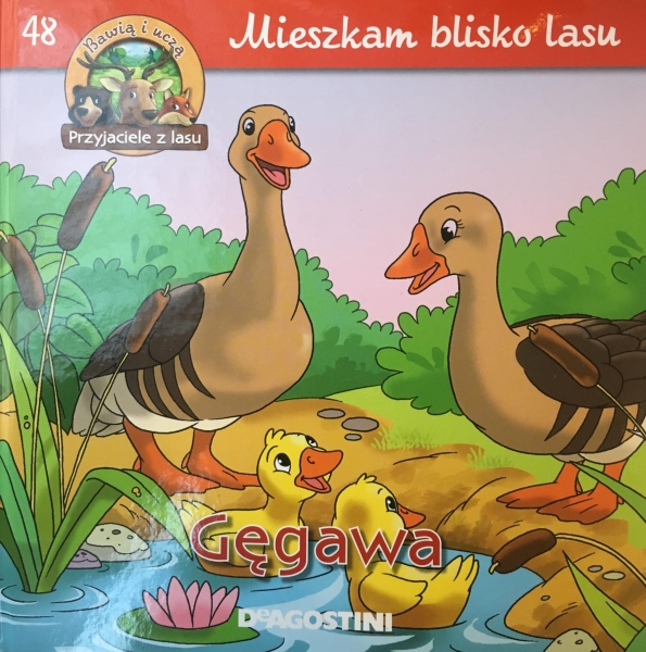MIESZKAM BLISKO LASU GĘGAWA 