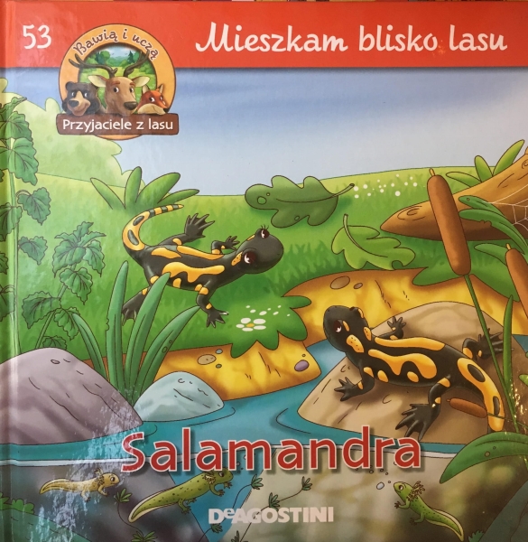 SALAMANDRA MIESZKAM BLISKO LASU 