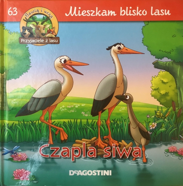 CZAPLA SIWA MIESZKAM BLISKO LASU 