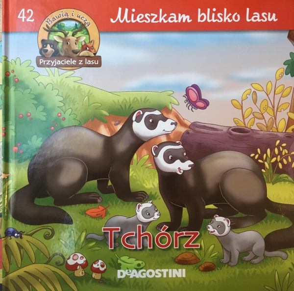 TCHÓRZ MIESZKAM BLISKO LASU 