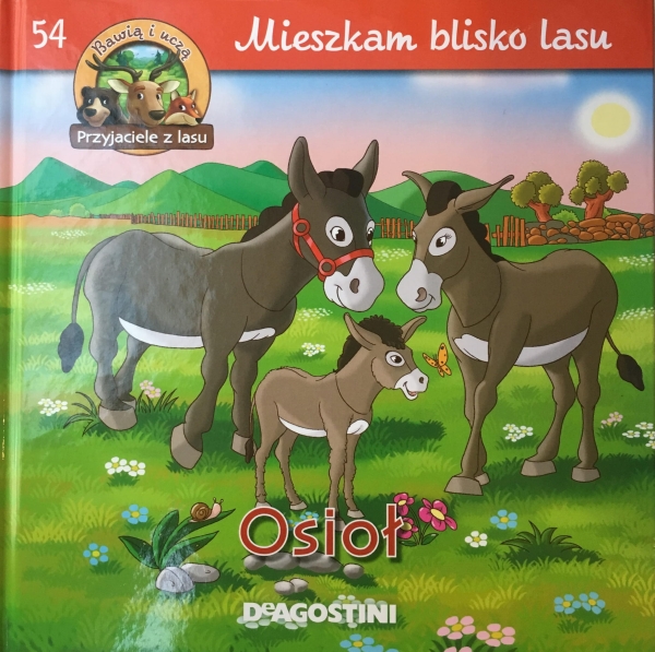 OSIOŁ MIESZKAM BLISKO LASU 